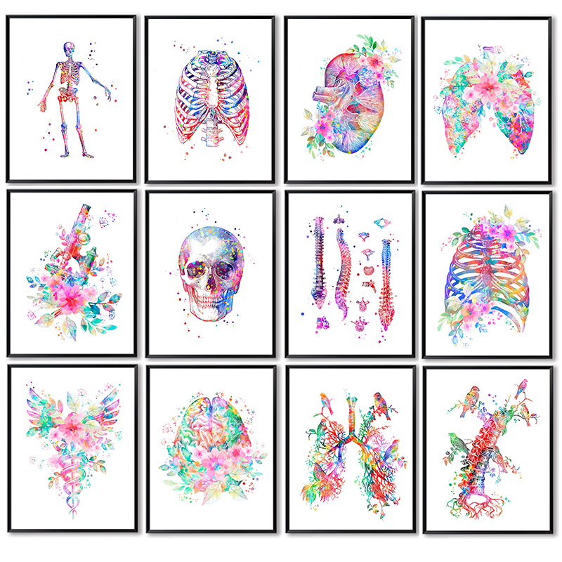 Medical Lab Pictures - Анатомический медицинский постер: Картина на холсте