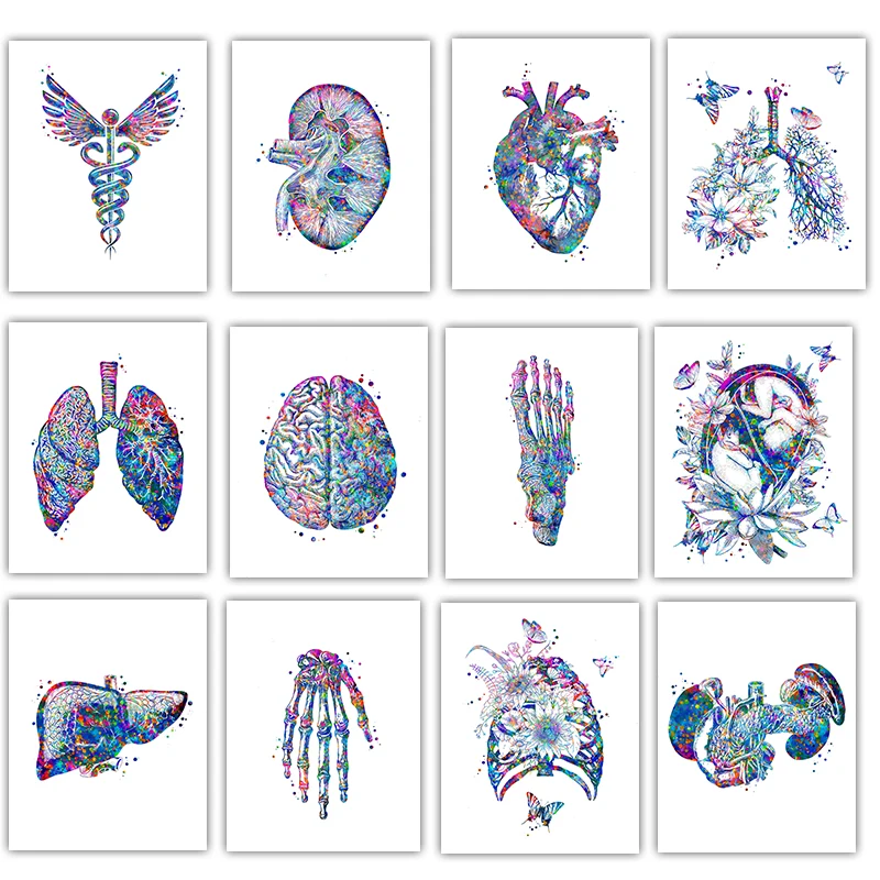Medical Lab Pictures - Анатомический медицинский постер: Картина на холсте