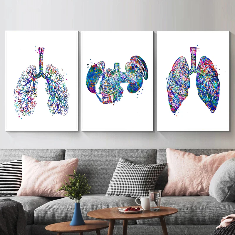 Anatomy Medical Poster Flower  – обзор и цена Medical Lab Pictures