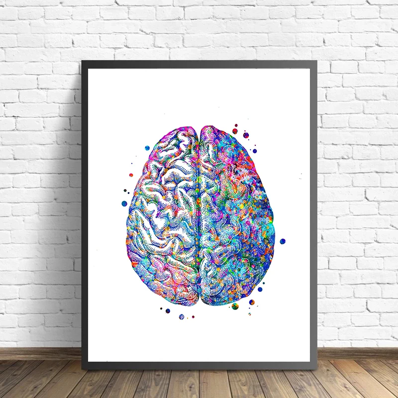 Anatomy Medical Poster Flower  – обзор и цена Medical Lab Pictures