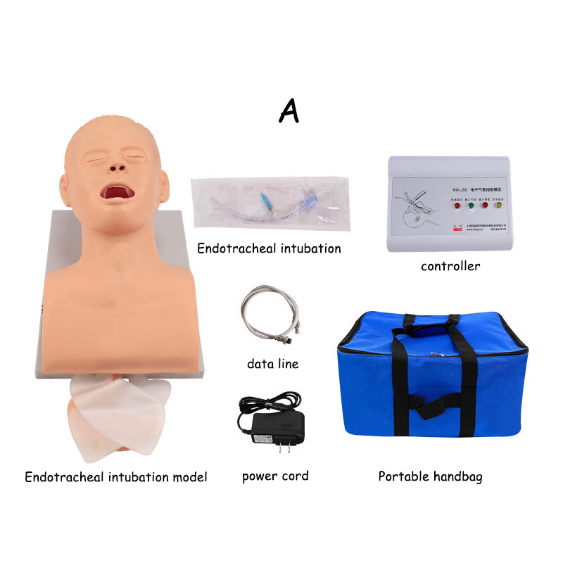 Учебная модель манекена для ин – обзор и цена Medical Lab Management